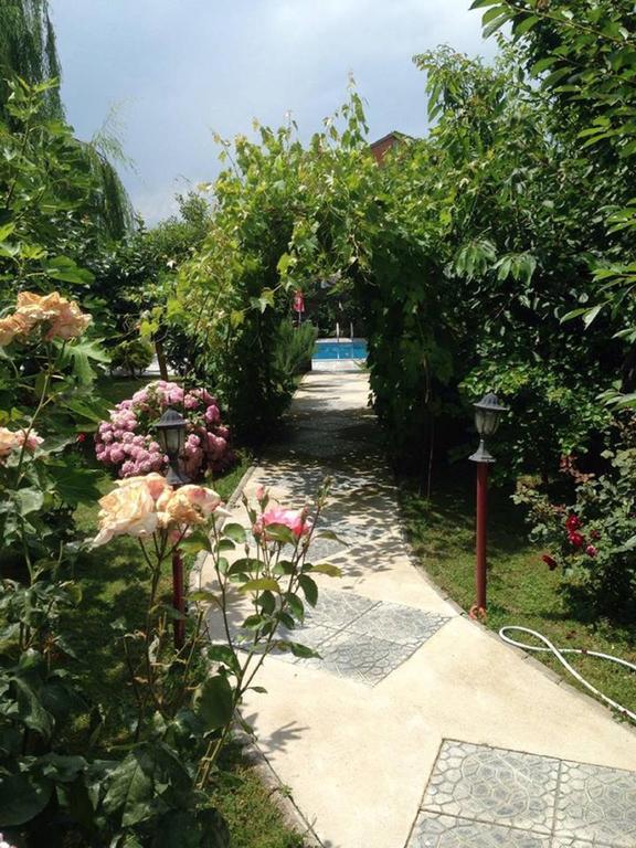 Villa Amsterdam Ohrid Exterior foto